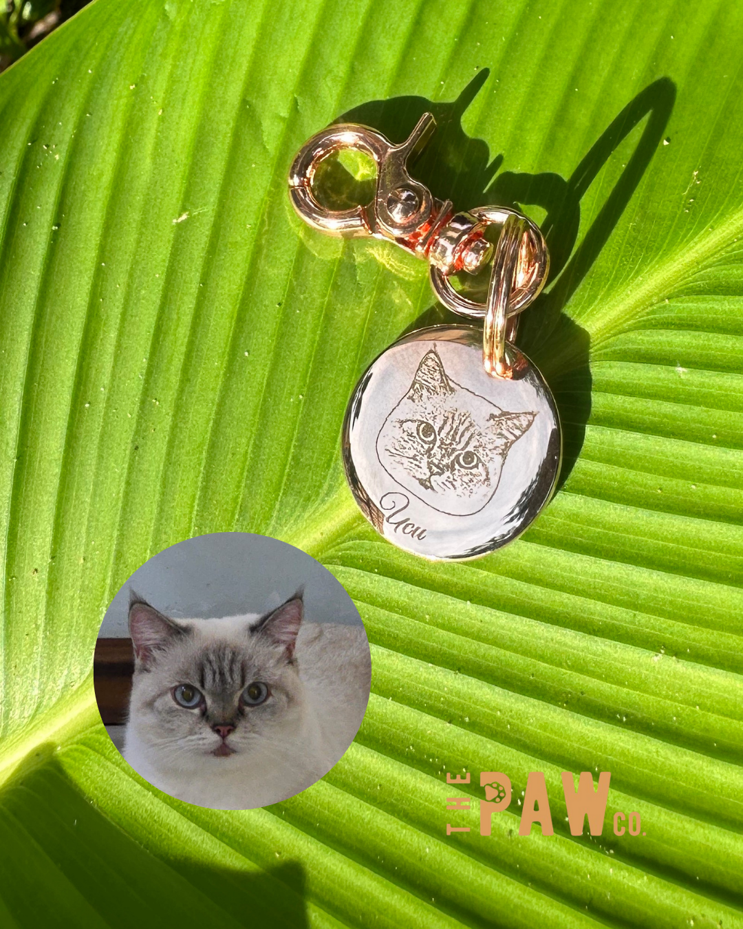 *Premium* Circle Paw Tag
