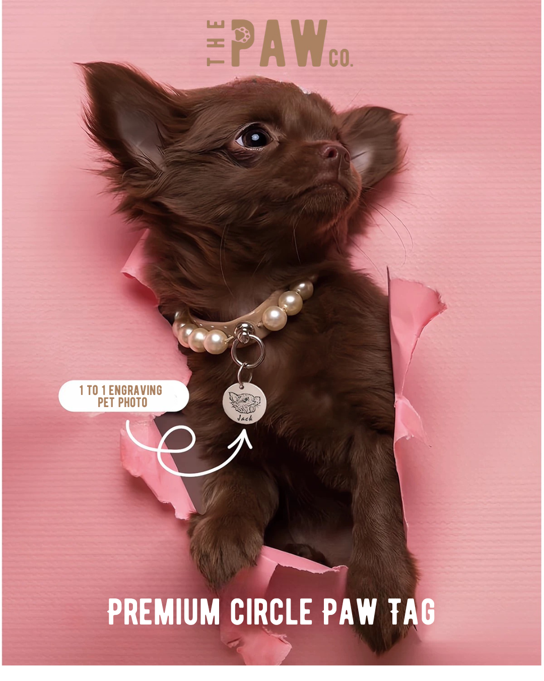 *Premium* Circle Paw Tag