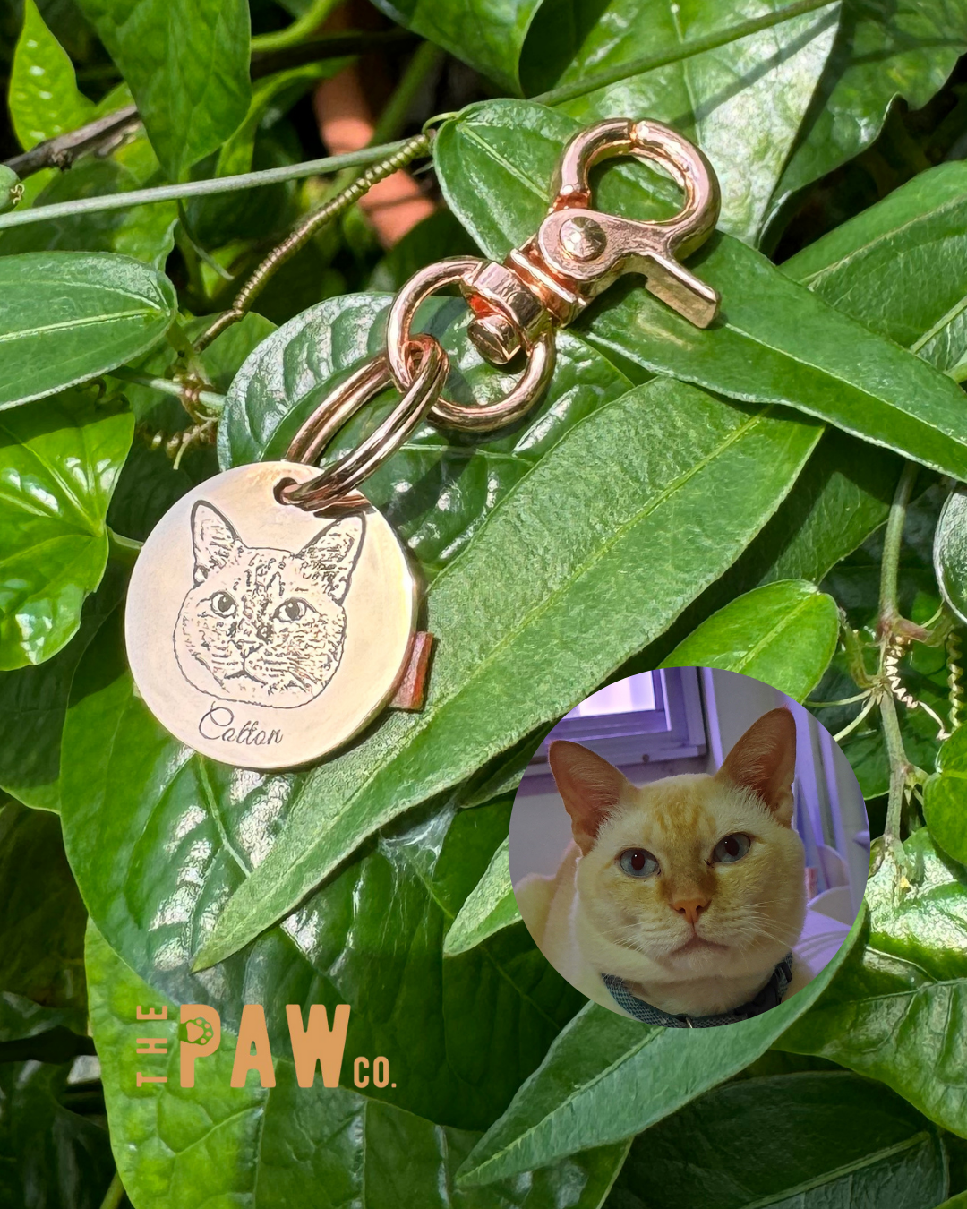 *Premium* Circle Paw Tag