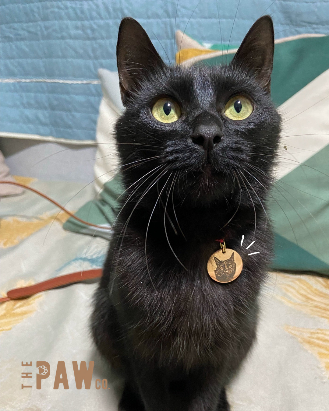 *Premium* Circle Paw Tag