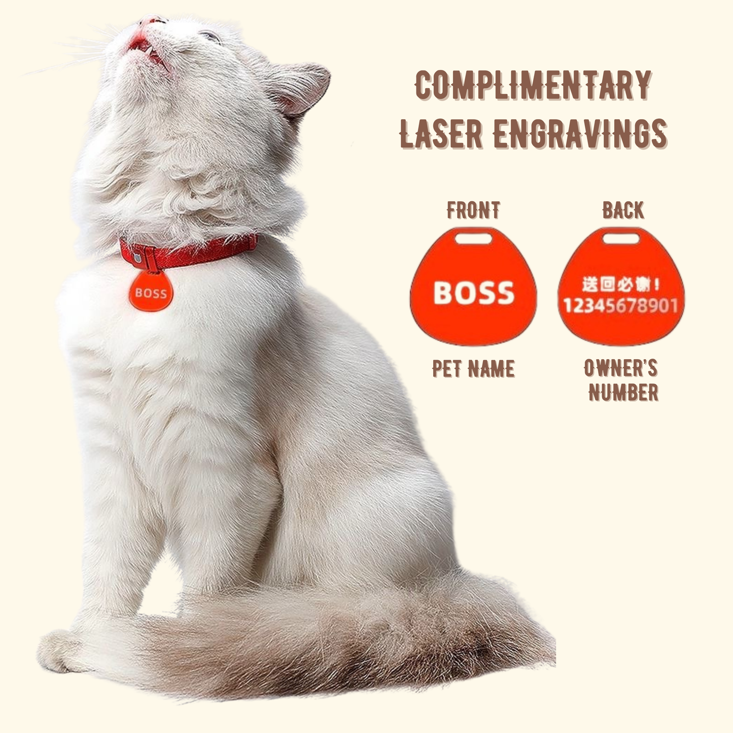 Core Cat Collar with Personalised Tag
