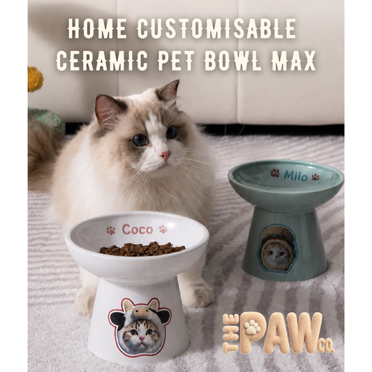 Home Customisable Ceramic Pet Bowl Max