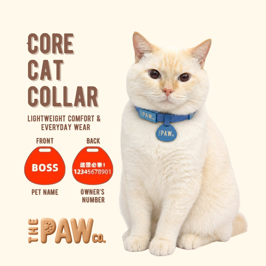 Core Cat Collar with Personalised Tag