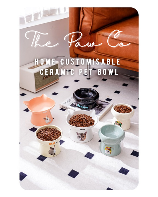 Home Customisable Ceramic Pet Bowl