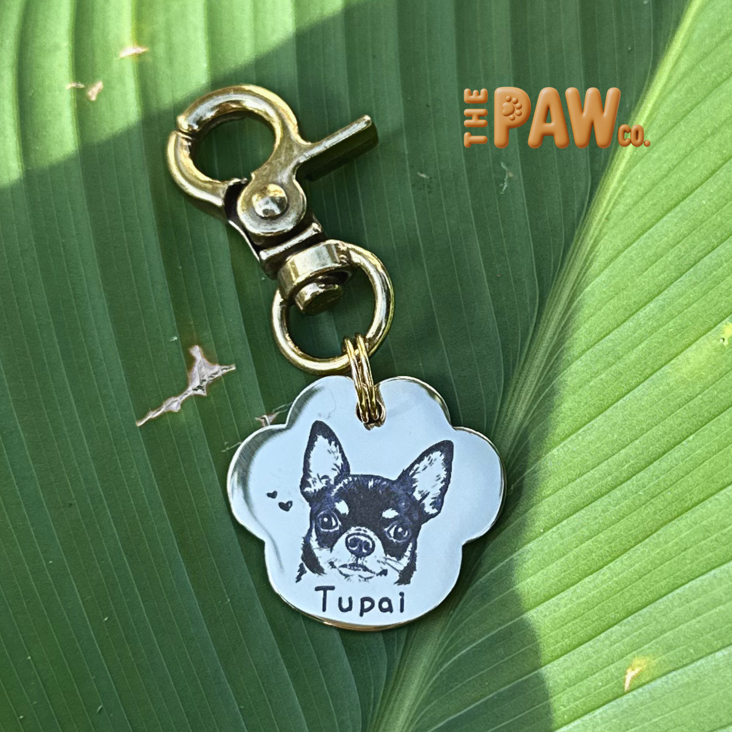 PawCo Paw