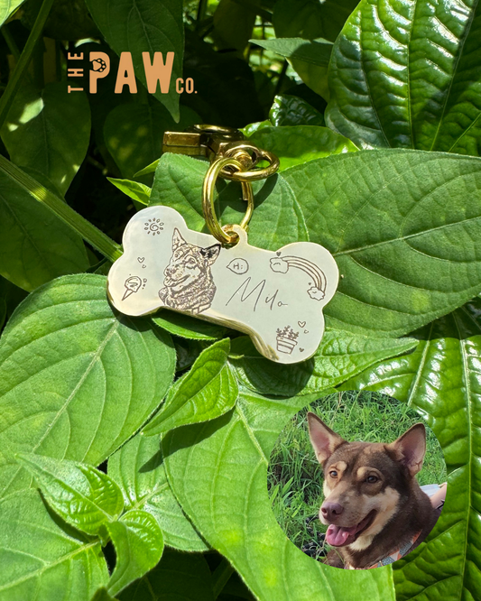 *Premium* Bone Paw Tag