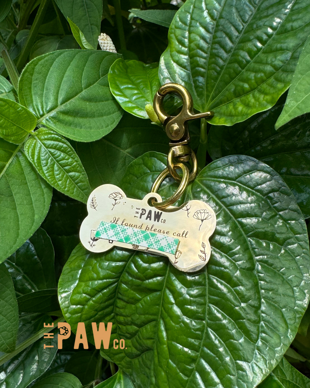 *Premium* Bone Paw Tag