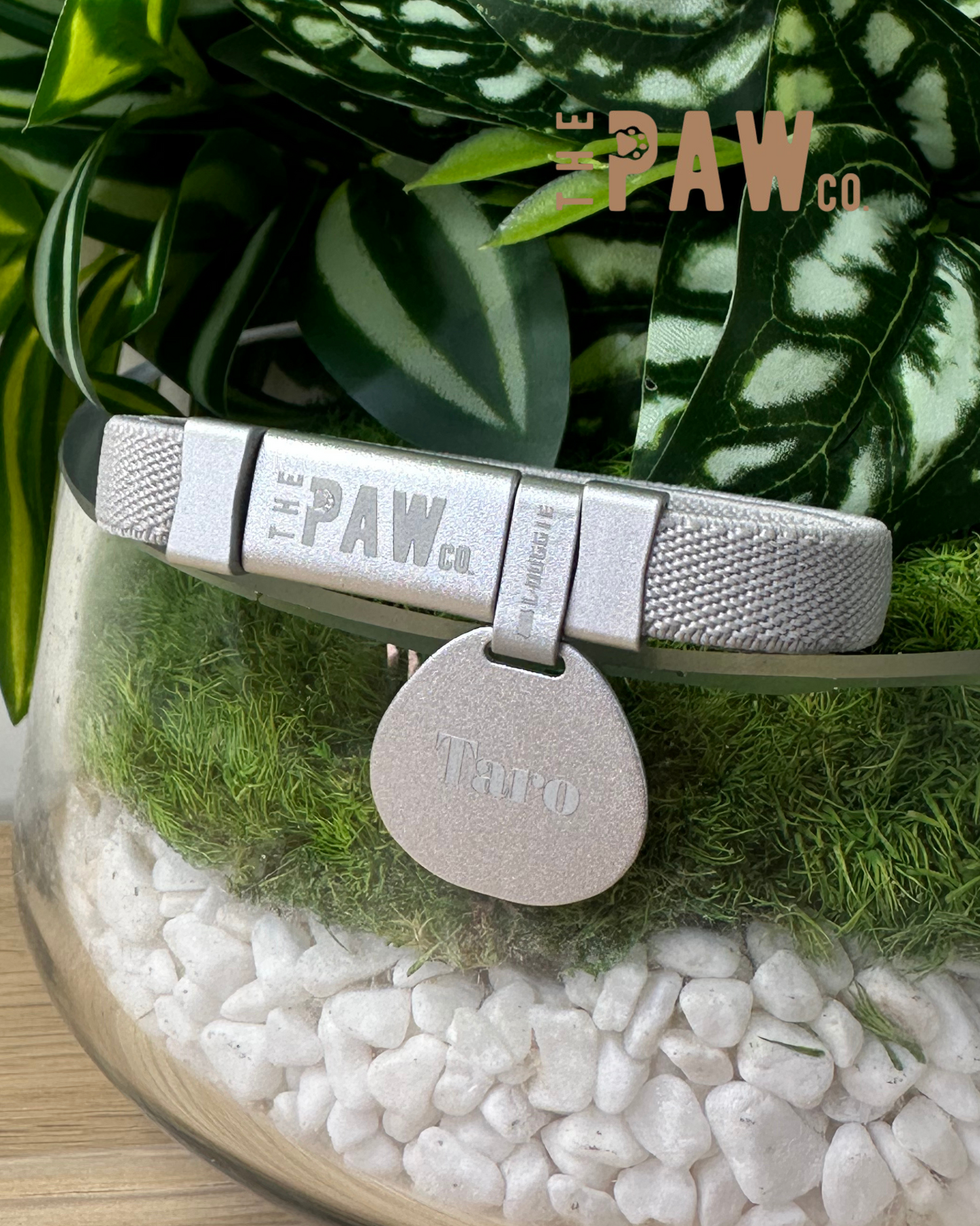 *Cat Safety Collar with Personalised Tag