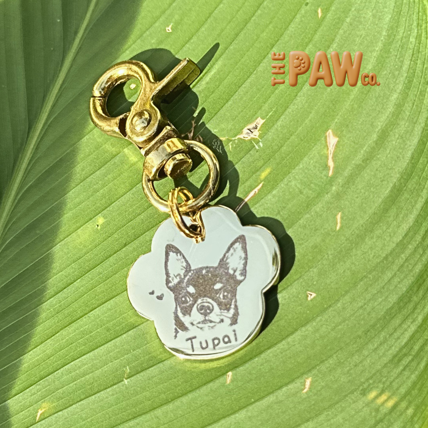 PawCo Paw