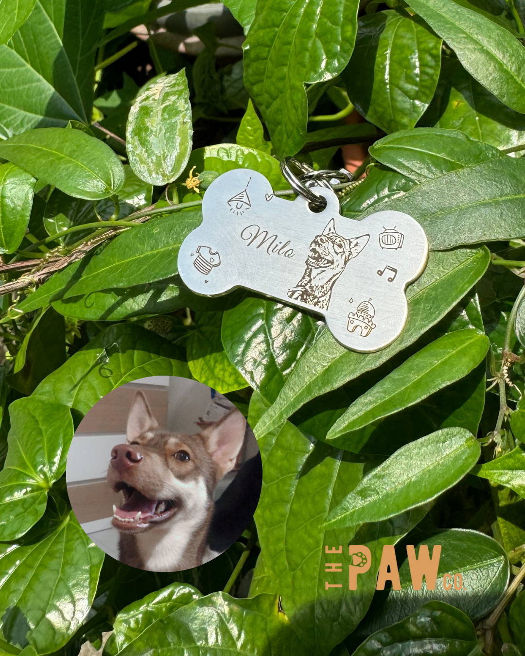 *Premium* Bone Paw Tag