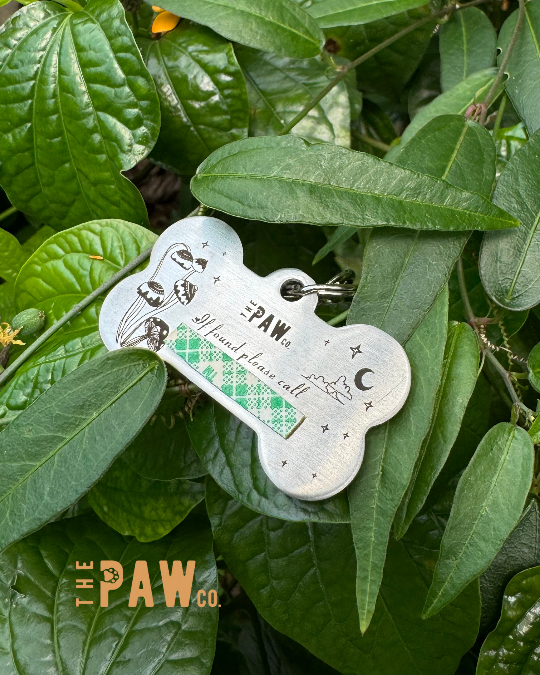 *Premium* Bone Paw Tag