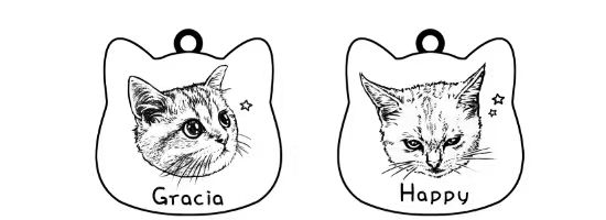 PawCo Cat