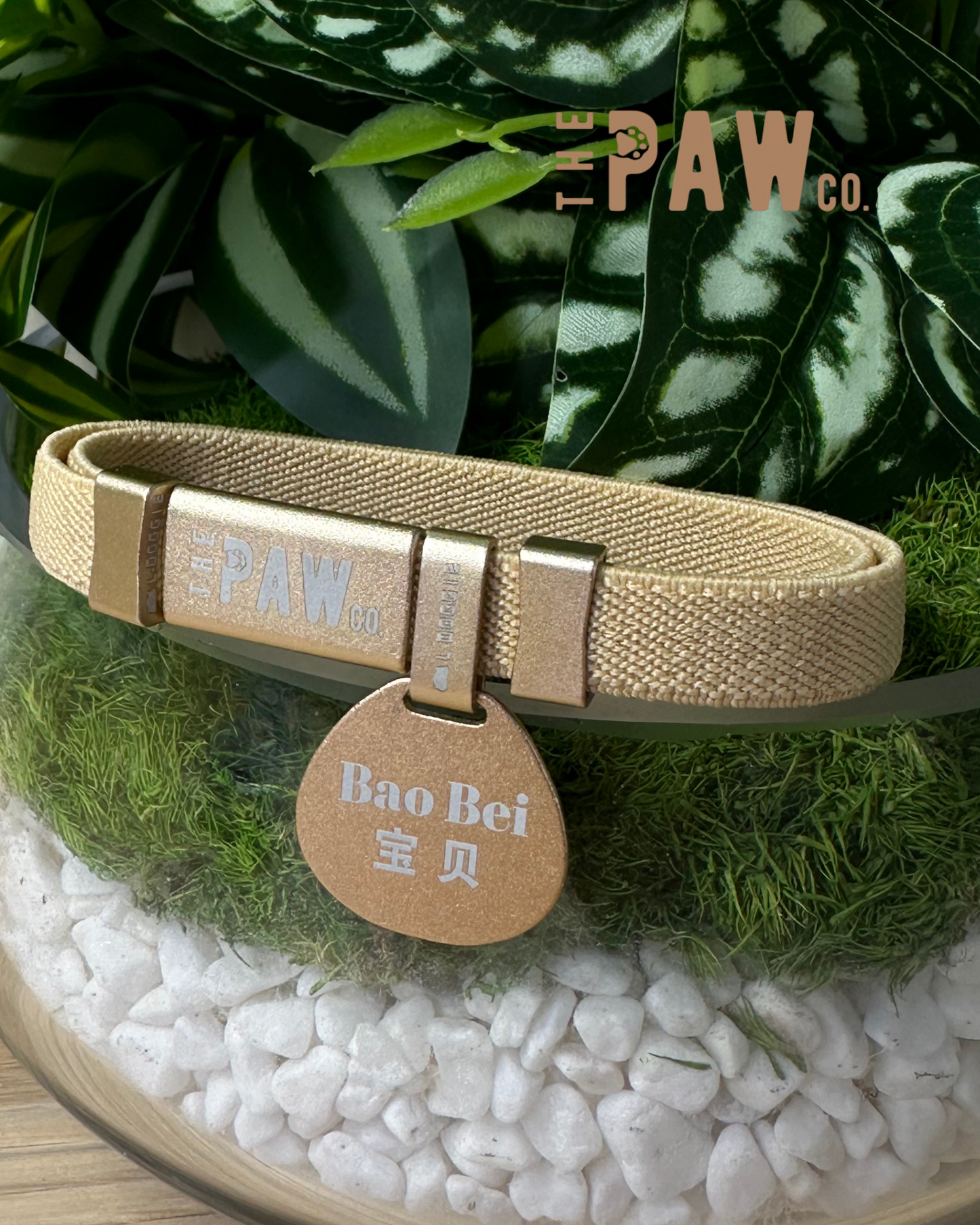 *Cat Safety Collar with Personalised Tag