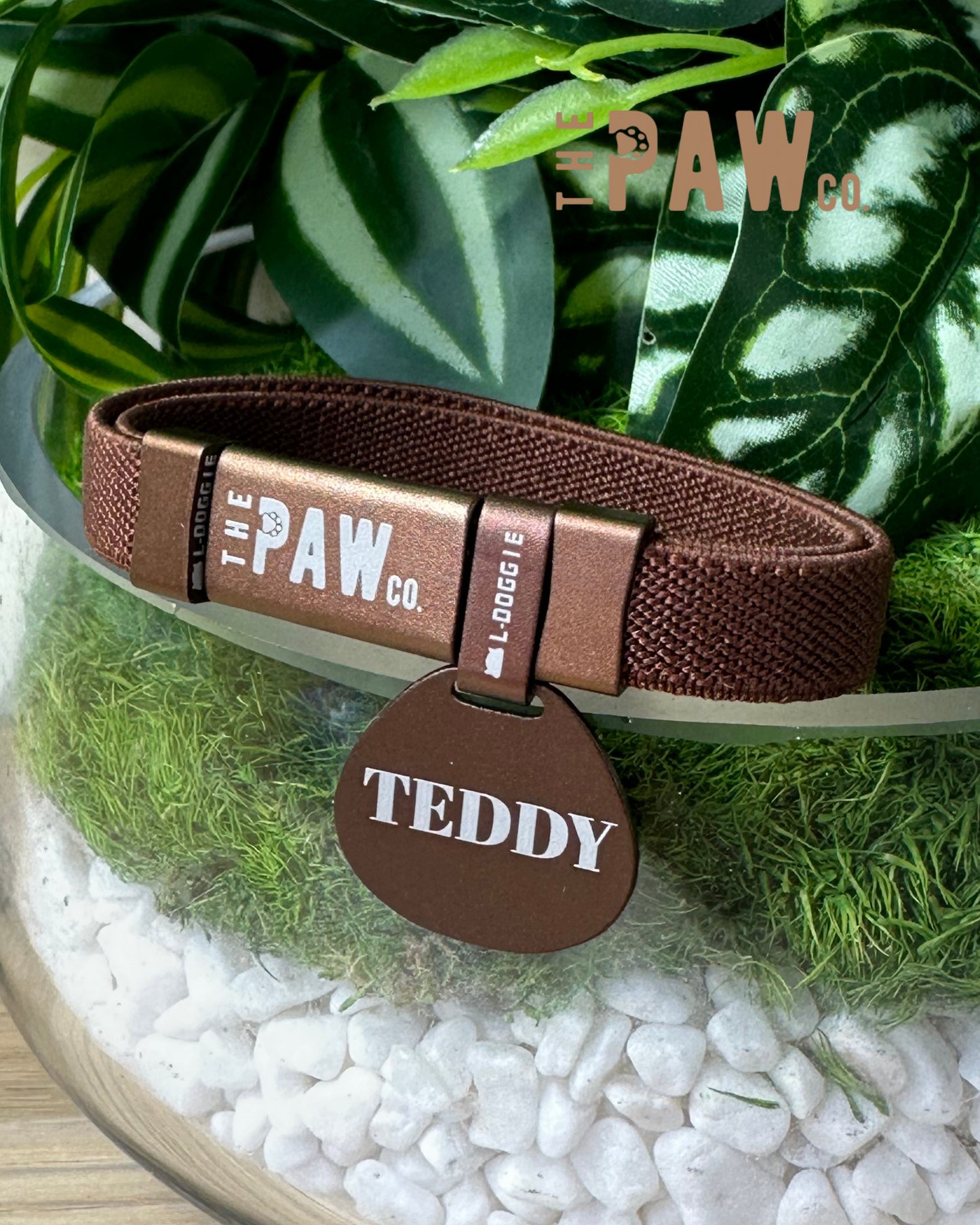 *Cat Safety Collar with Personalised Tag