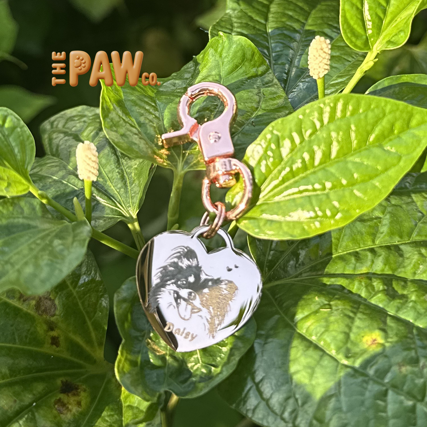 PawCo Heart
