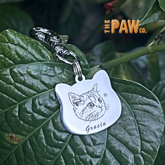 PawCo Cat