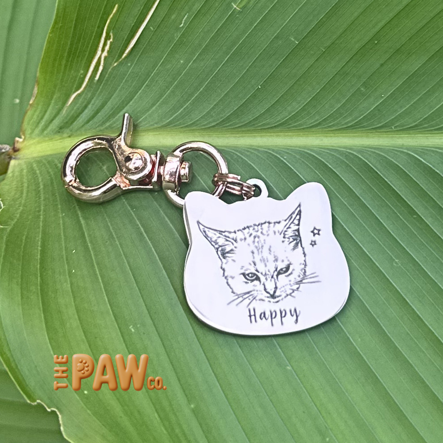 PawCo Cat