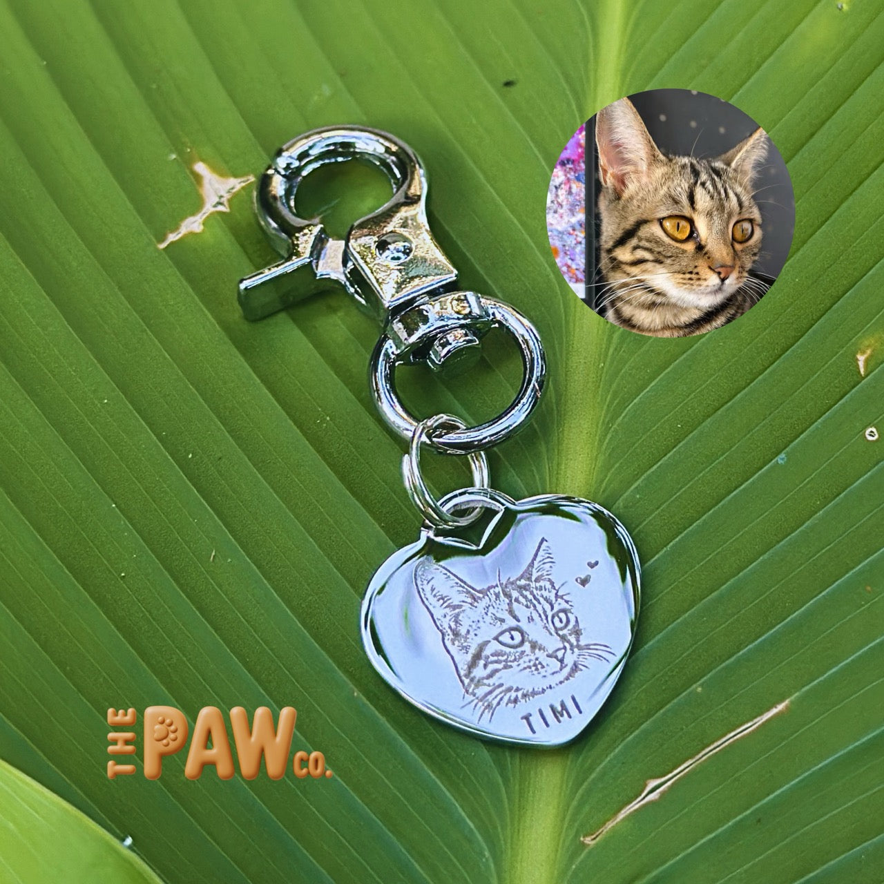 PawCo Heart