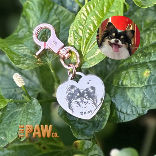 PawCo Heart